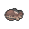 Clodsire