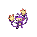 Ambipom