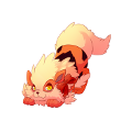 BabyArcanine