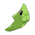 BabyMetapod