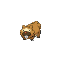 Bidoof