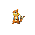 Buizel