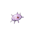 Cascoon