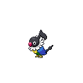 Chatot