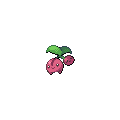 Cherubi
