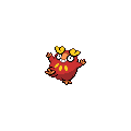 Darumaka
