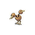 Doduo