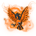 EternalPidgeotto