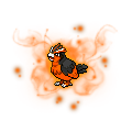 EternalPidgey