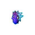 GlitterPupitar