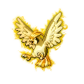 GoldenPidgeotto