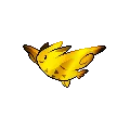 GoldenTogekiss
