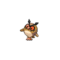 Hoothoot
