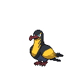 Kilowattrel