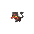 Litten