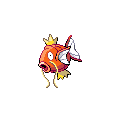 Magikarp