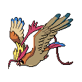 pokemon dusk MegaPidgeot