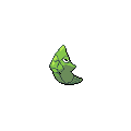 Metapod