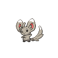 Minccino