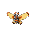 Mothim