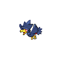 Murkrow