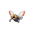 Ninjask