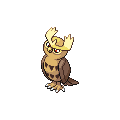 Noctowl