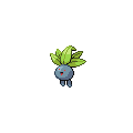Oddish