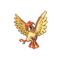 Pidgeotto