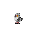 Pidove