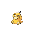 pokemon dusk Psyduck