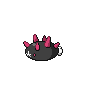 Pyukumuku