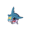 Sharpedo