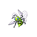 ShinyBeedrill