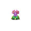 ShinyBellossom