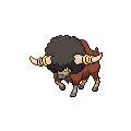 ShinyBouffalant