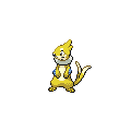 ShinyBuizel