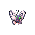 ShinyButterfree