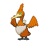 ShinyCramorant