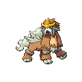 ShinyEntei