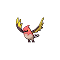 ShinyFletchinder