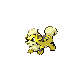 ShinyGrowlithe
