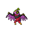 ShinyHawlucha