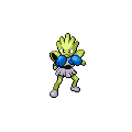 ShinyHitmonchan