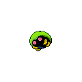 ShinyKabuto