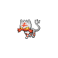 ShinyLitten