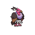 ShinyMandibuzz