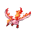 ShinyMoltres