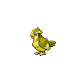 ShinyPidgey