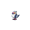 ShinyPidove
